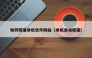 海北如何搭建单机软件网站（单机游戏搭建）